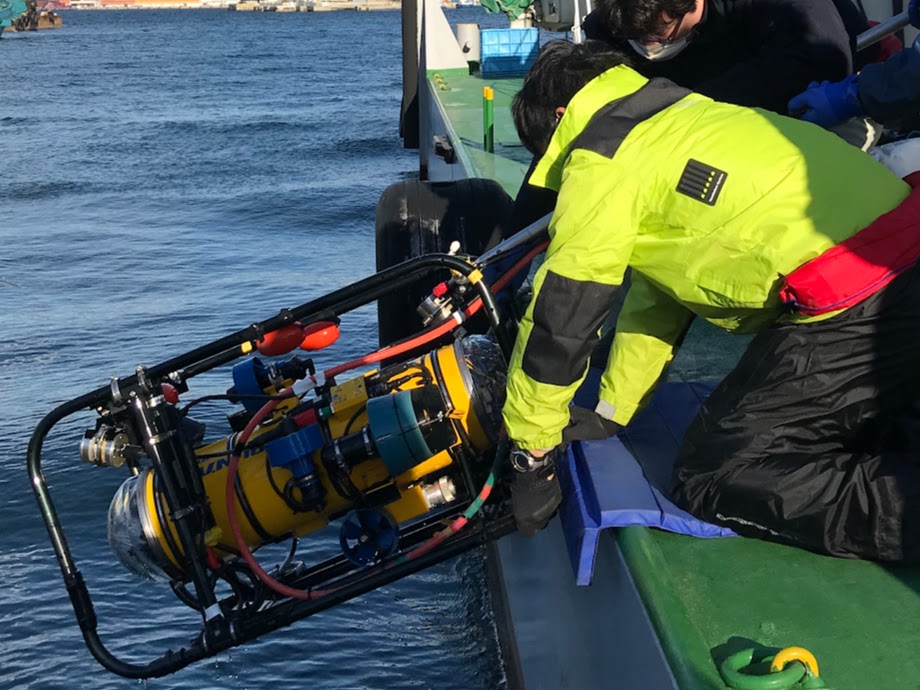 カード画像のキャプション3